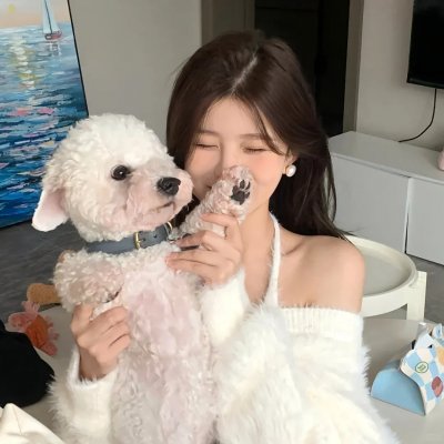 瞎猪想要飞